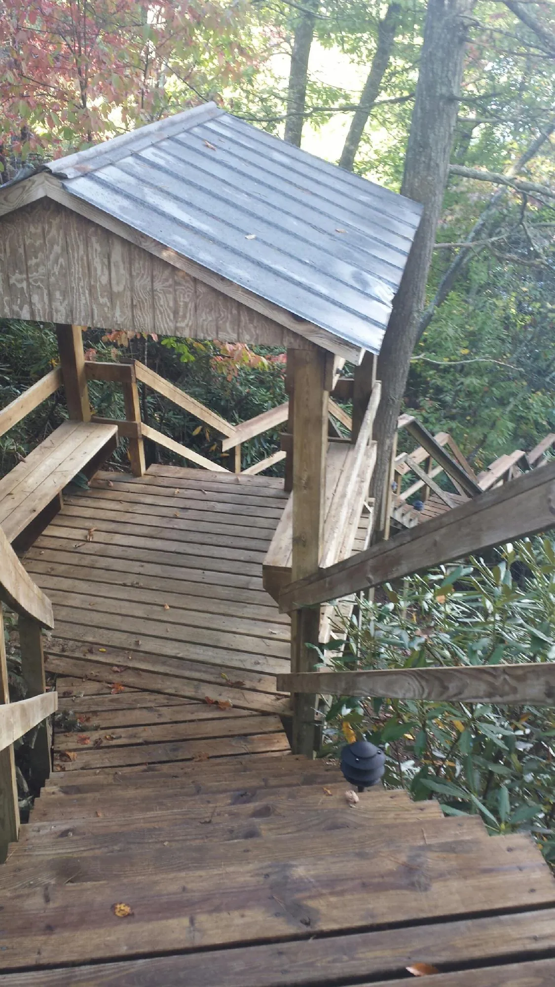Metal roofed shelter over wooden steps on a wooded walkway — Skylight Repair & Installation work by our crew in Tillamook