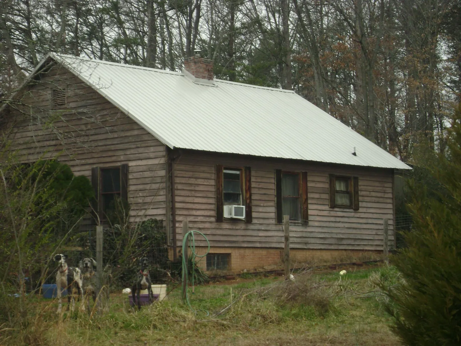 White metal roof on an old wood sided farmhouse, from a Metal Roof Installation job in Tillamook